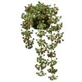 Floristik24 Grøn plante kunstig perlesnor i moskugle 38cm